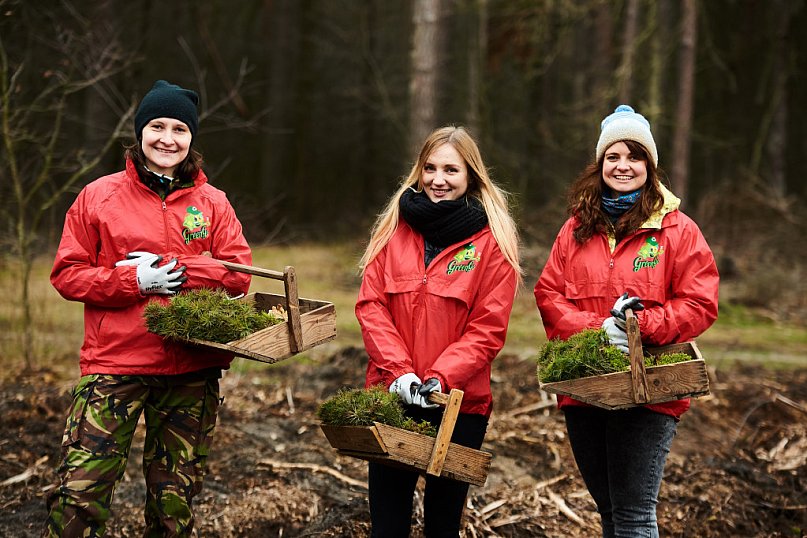 Posadzili tysiące nowych drzew