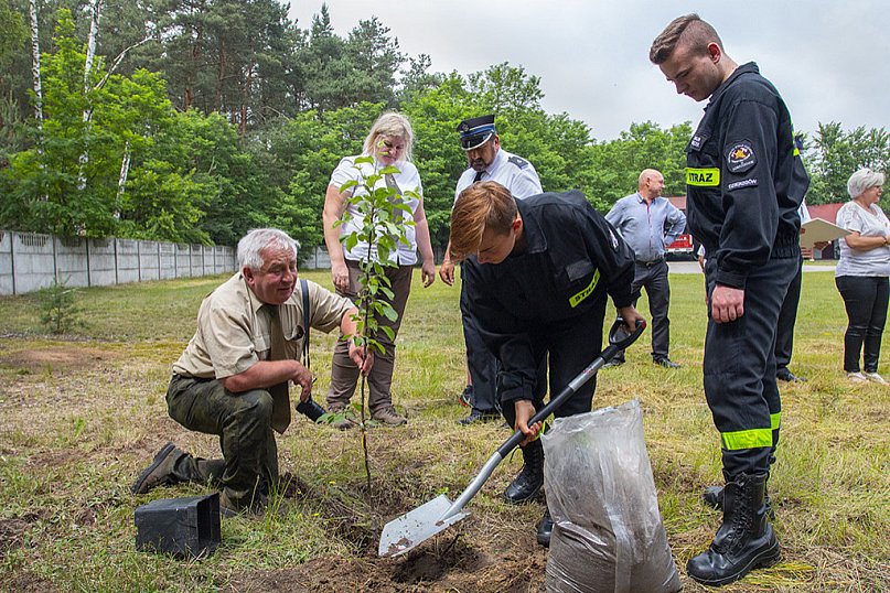 Owoce pamięci Jana Pawła II