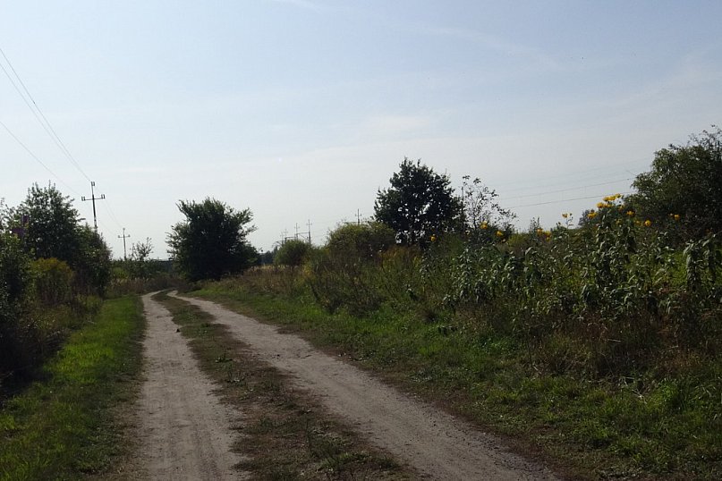 Ulica Leśmiana w Kutnie