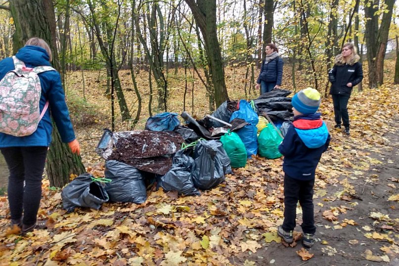 Sprzątanie lasu