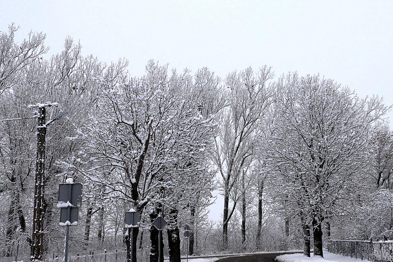 Wreszcie spadł śnieg!