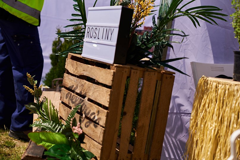 Kellogg&#039;s Maraton Środowiskowy