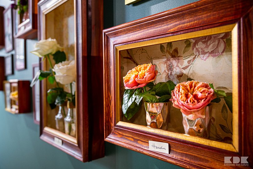 Kutno na Zamku Królewskim