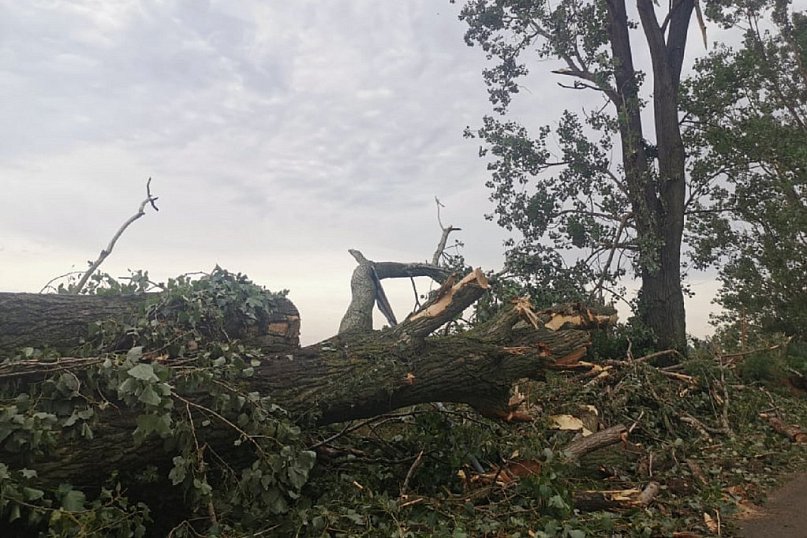 Skutki burz w powiecie