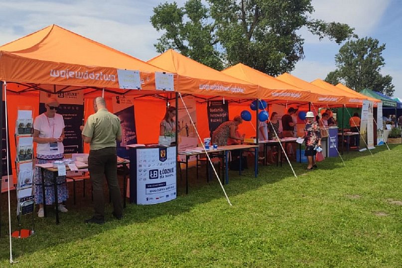 Piknik w Dąbrowicach