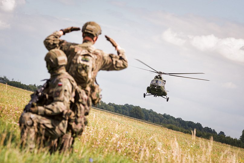 Terytorialsi na szkoleniu z kawalerią powietrzną