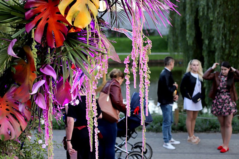 Sobotnie popołudnie na Święcie Róży