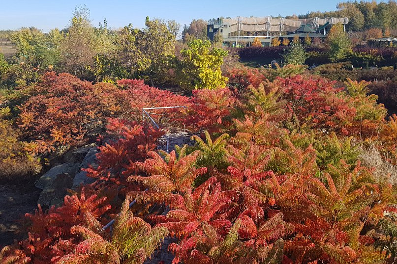 Złota jesień w Magicznych Ogrodach