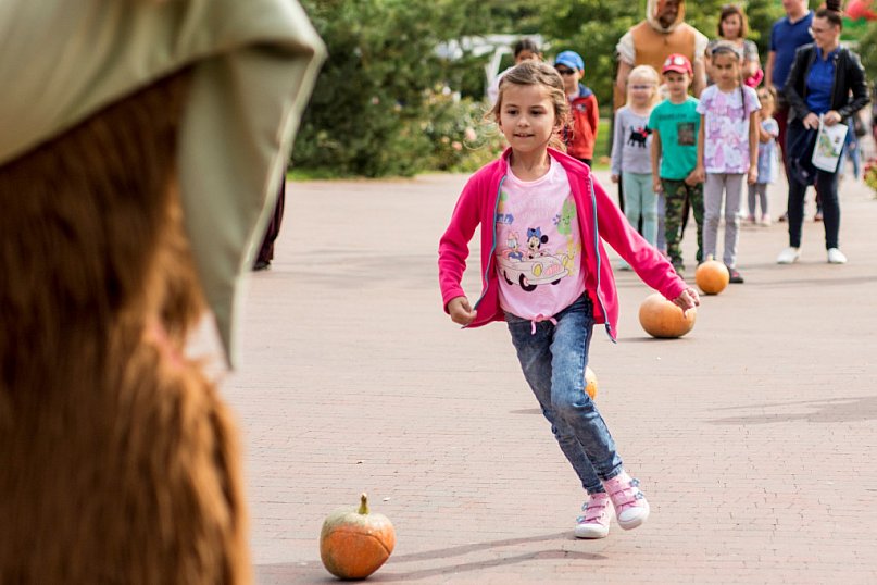 Magiczne dyniobranie