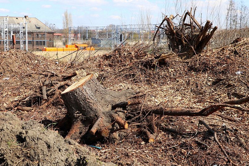 Śmieci, śmieci, śmieci...