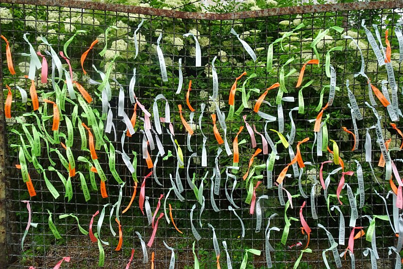 Akcja edukacyjna Pamiętamy