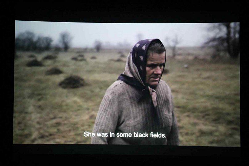 Bukolika w Krośniewicach