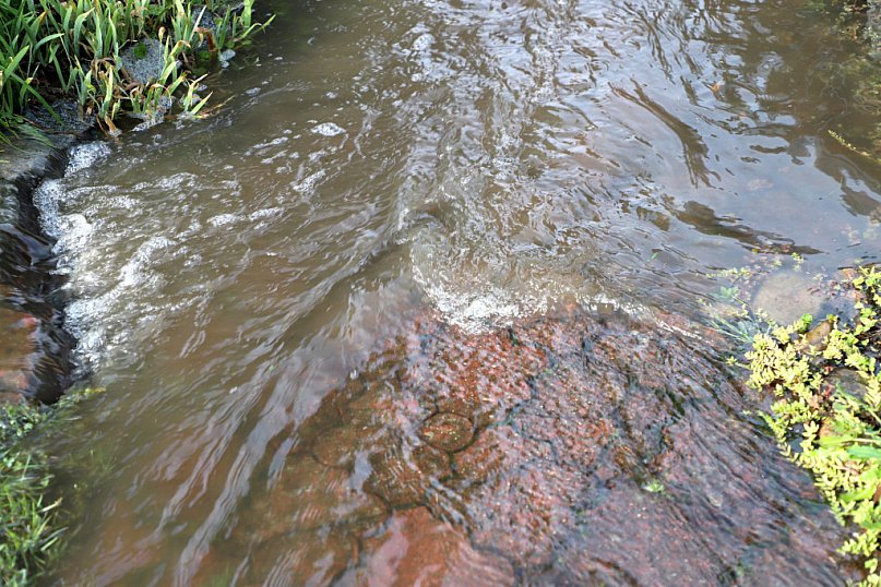 Fala podtopień na Zielnej