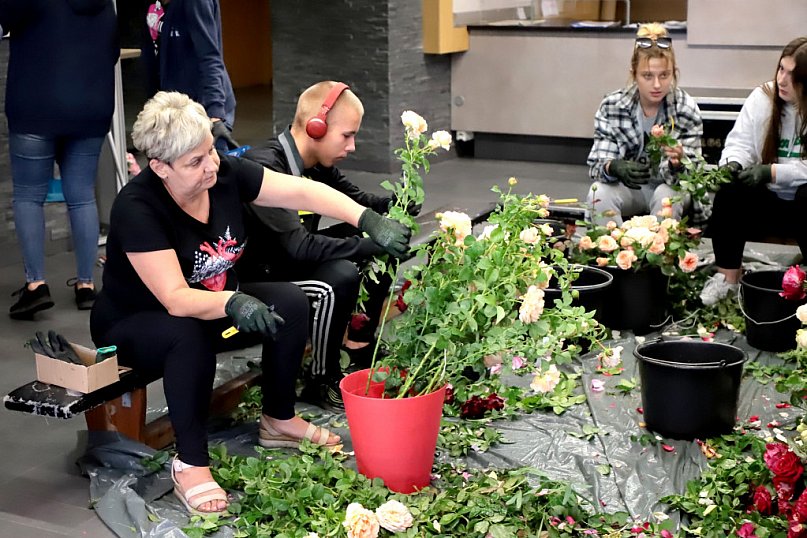 Otwarcie Święta Róży tuż, tuż...