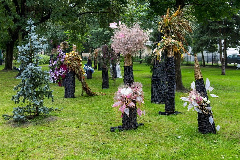 Królowa Róż wśród różanych aranżacji