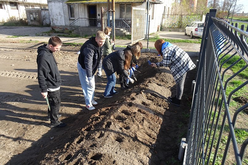 Sadzimy Ogród Żonkila Pamięci o Holokauście!