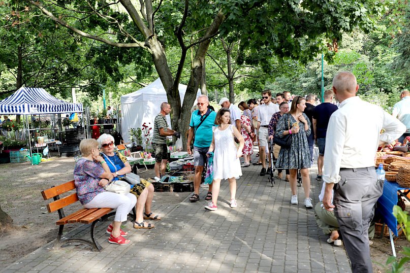 W Parku Traugutta podczas Święta Róży