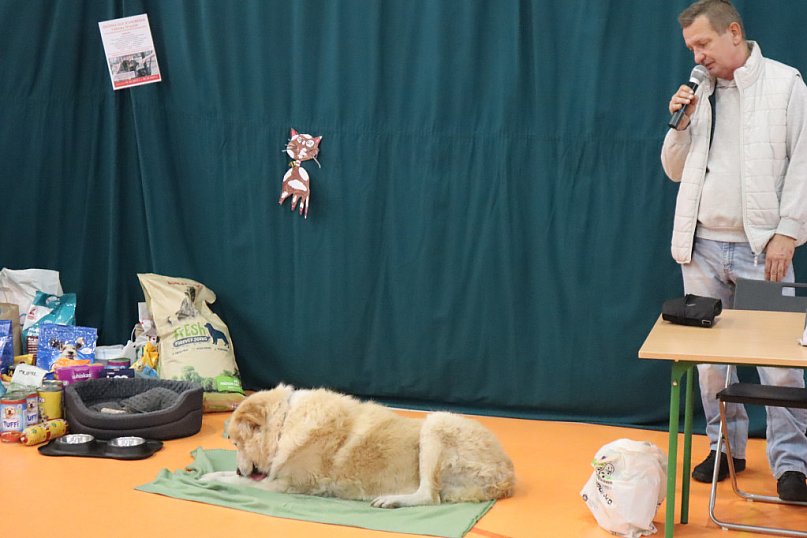 Szóstka dla zwierzaków