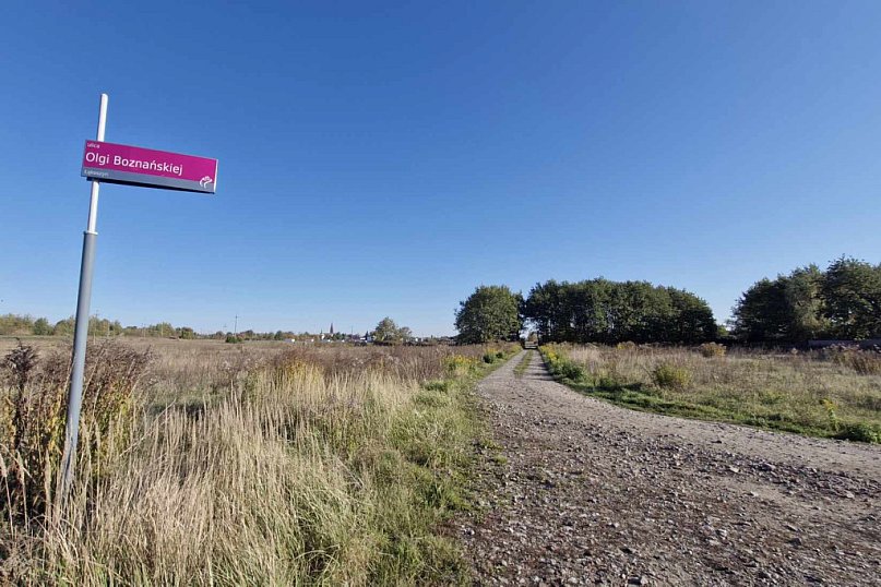 Ulica Olgi Boznańskiej w Kutnie