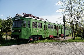 Pociąg w ogródku-19927