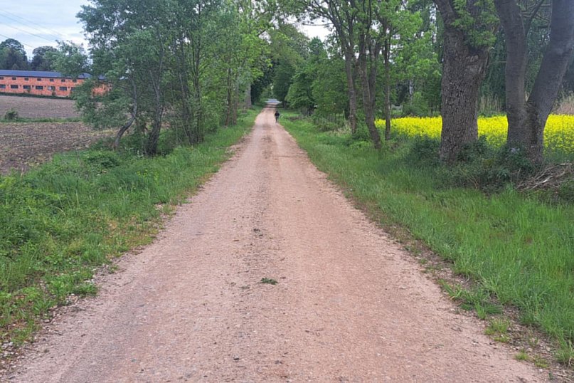 Czy droga w SIemianowie doczeka się asfaltu?