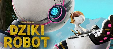 DZIKI ROBOT-8279