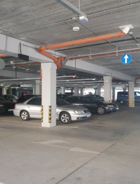Czy niepełnosprawni mogą bezpłatnie parkować w spp?-49883