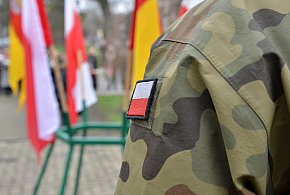 Wojsko zaprasza Polaków. Zacznie się w maju, skończy się w lipcu-59938
