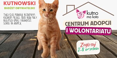 Jakie projekty zwyciężyły w 10. edycji KBO?-63033