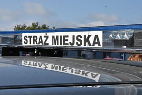 Kombinujesz z piecem? Zapuka strażnik i możesz zapłacić 5 tys. zł kary-66197