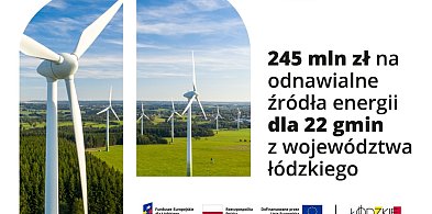 Nowe Ostrowy, Żychlin i Oporów - tam powstaną inwestycje w odnawialne źródła energ-66219