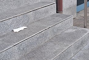 Światowy Dzień bez Śmiecenia. W sam raz dzień dla Kutna-68208