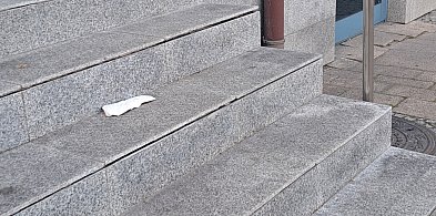 Światowy Dzień bez Śmiecenia. W sam raz dzień dla Kutna-68208