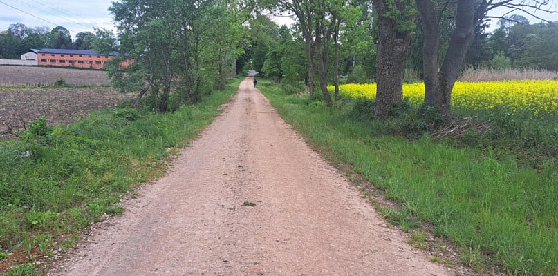 Kiedy droga w Siemianowie doczeka się asfaltu? - 68876