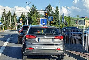 Egzamin na prawo jazdy będzie inny. Od 1 lipca nowe zasady-69172