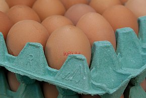 Salmonella na jajach znanej marki. Nie jedz, jeśli masz je w lodówce!-69330