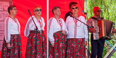 Piknik Rodzinny w Pniewie – święto integracji i tradycji-69571