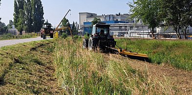 Oczyszczanie koryta Ochni w Kutnie może potrwać cztery tygodnie-69605