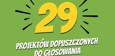 29 projektów dopuszczonych do głosowania w Kutnowskim Budżecie Obywatelskim-69717
