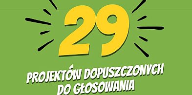 29 projektów dopuszczonych do głosowania w Kutnowskim Budżecie Obywatelskim-69717