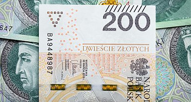 Jakie wynagrodzenie ma Zastępca Wójta Gminy Łanięta?-69785