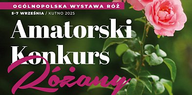 Amatorski Konkurs Różany 2025. Zmiana w regulaminie-69928