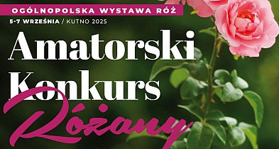 Amatorski Konkurs Różany 2025. Zmiana w regulaminie-69928