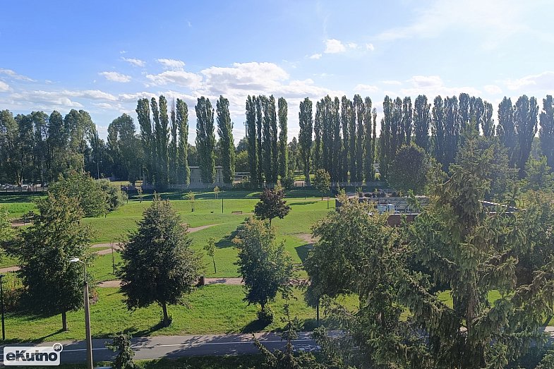 zdjecie ogloszenia