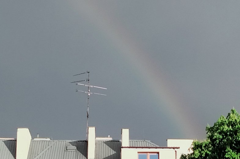 zdjecie ogloszenia