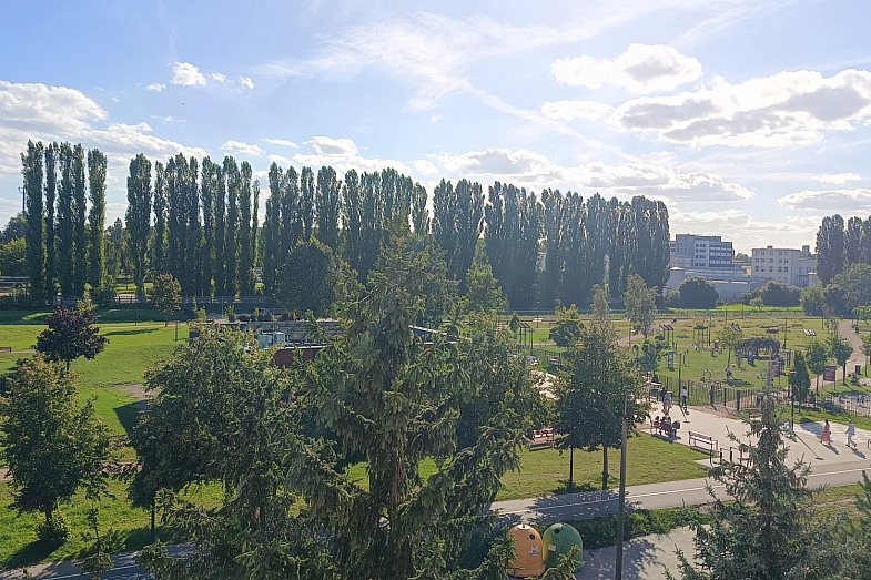 zdjecie ogloszenia