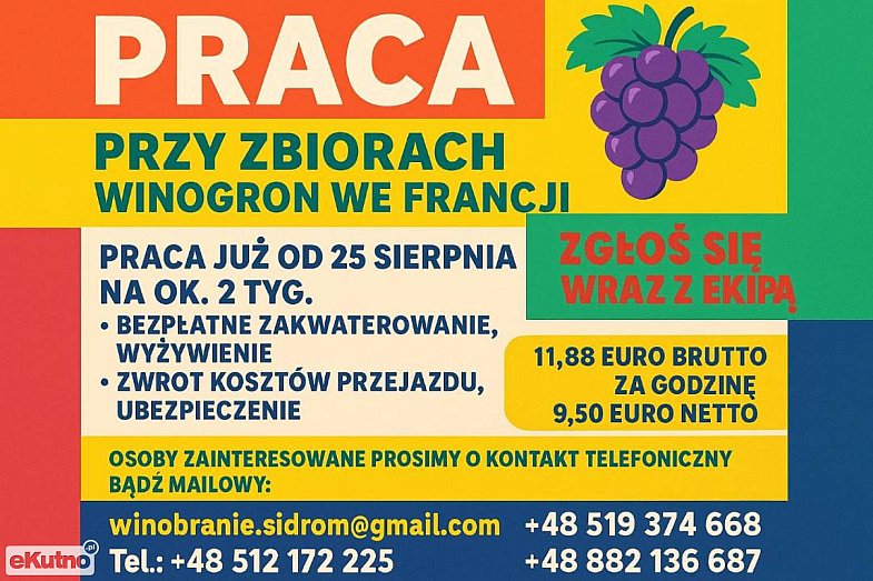 zdjecie ogloszenia