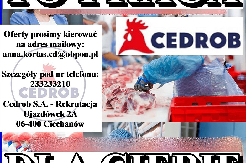 zdjecie ogloszenia
