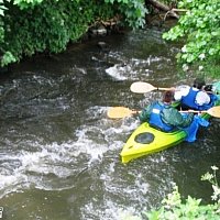 zdjecie ogloszenia