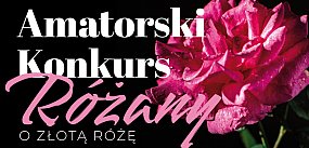 Przynieś różę ze swojego ogródka. Amatorski Konkurs 